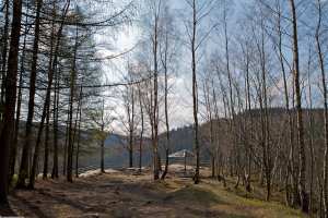 Aussichtspunkt am Katzenstein über dem Schwarzwassertal im Erzgebirge